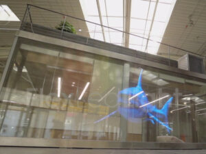 NSN Large Transparent LED in Glass Screen